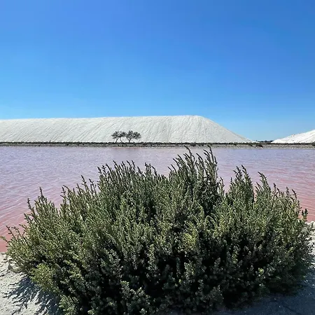 Whalecome Camargue Feriehus Aigues-Mortes