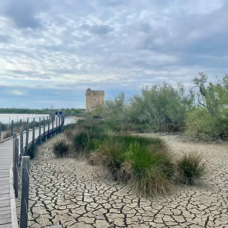Whalecome Camargue Feriehus